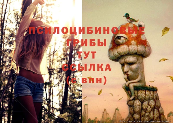 крисы Алзамай